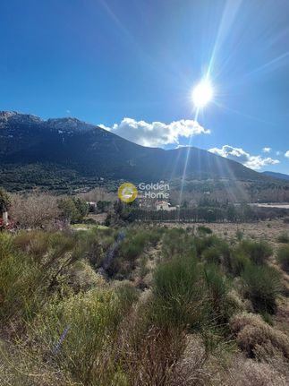 Land plot 1.193 sqm for sale, Boeotia, Arachova