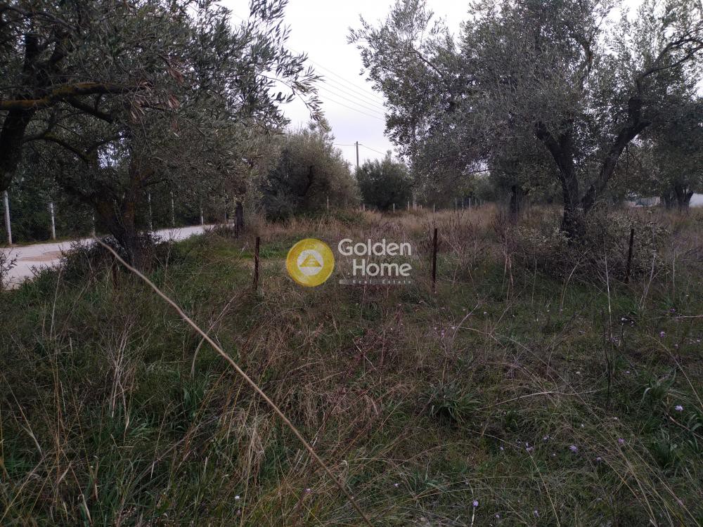 Αγροτεμάχια 242 τ.μ. προς πώληση, Φοίνικας Σπάτων