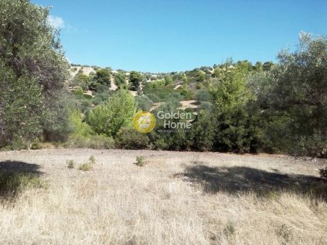 Οικόπεδο 20.000τ.μ. για πώληση-Γραμματικό » Κατηφόρι