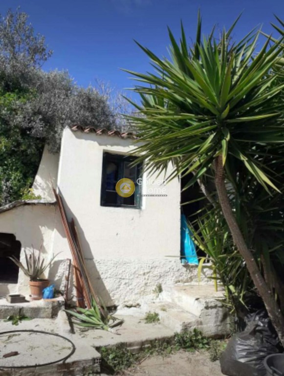 Οικόπεδο 1.660 τ.μ. προς πώληση, ΒΙΟ.ΠΑ. Παιανίας