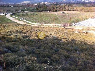 Οικόπεδο 20.000 τ.μ. για πώληση, Εύβοια, Κάρυστος-thumb-2