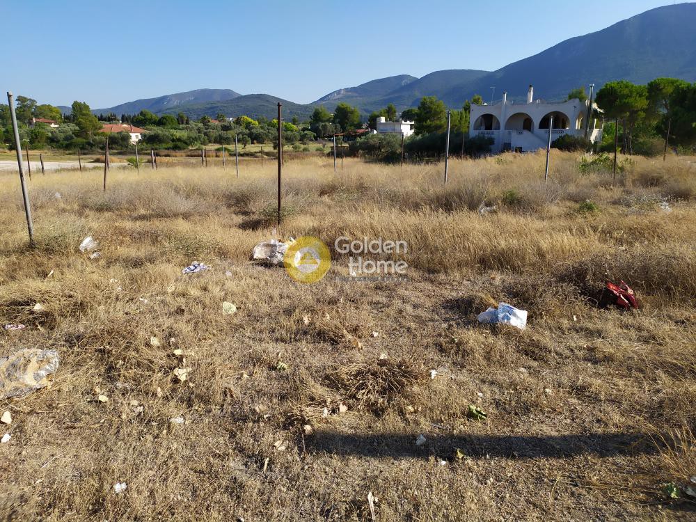 Οικόπεδο 2.000 τ.μ. για πώληση, Εύβοια, Ανθηδώνος