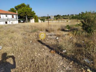 Οικόπεδο 2.000 τ.μ. για πώληση, Εύβοια, Ανθηδώνος-thumb-2