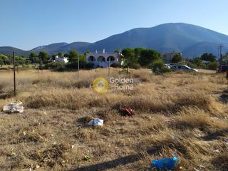 Οικόπεδο 2.000 τ.μ. για πώληση, Εύβοια, Ανθηδώνος-thumb-4