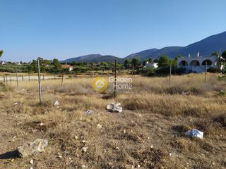 Οικόπεδο 2.000 τ.μ. για πώληση, Εύβοια, Ανθηδώνος-thumb-3