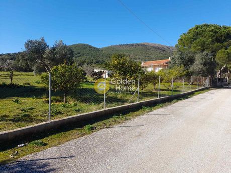 Αγροτεμάχια 2.250τ.μ. για πώληση-Πεντέλη » Νταού πεντέλη