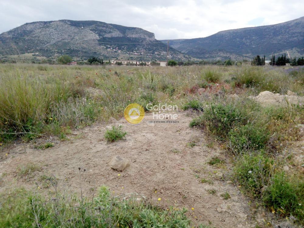 Οικόπεδο 23.000 τ.μ. προς πώληση, Κέντρο Κορωπίου