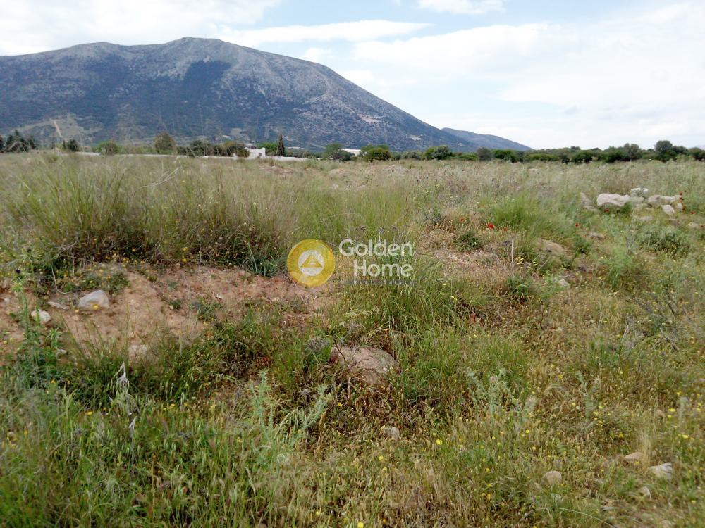 Οικόπεδο 23.000 τ.μ. προς πώληση, Κέντρο Κορωπίου