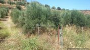 Land plot 2.500sqm for sale-Gouves » Gournes