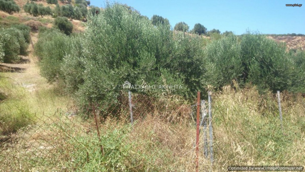 Οικόπεδο 5.000 τ.μ. προς πώληση, Γούρνες Γουβών