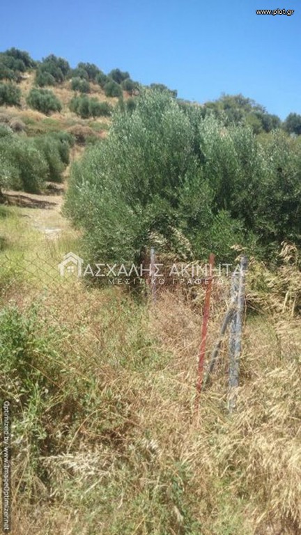 Οικόπεδο 5.000 τ.μ. προς πώληση, Γούρνες Γουβών