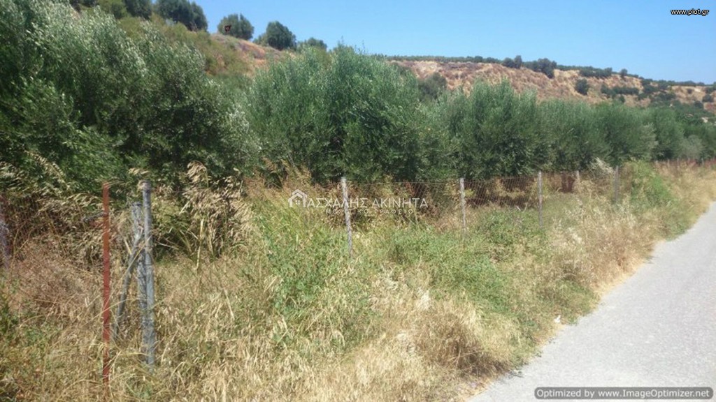 Οικόπεδο 5.000 τ.μ. προς πώληση, Γούρνες Γουβών