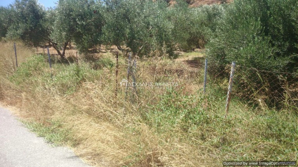 Οικόπεδο 5.000 τ.μ. προς πώληση, Γούρνες Γουβών