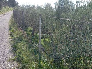 Οικόπεδο 4.200 τ.μ. για πώληση, Ν. Ηρακλείου, Ηράκλειο Κρήτης-thumb-2