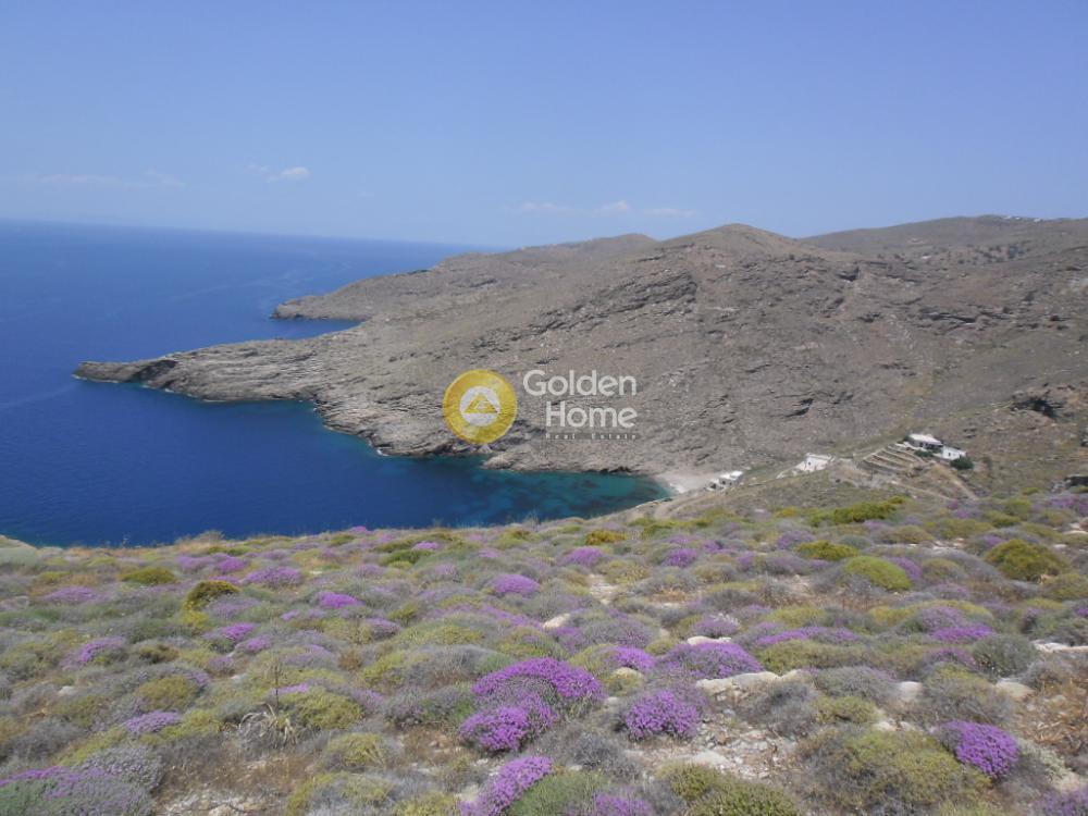 Οικόπεδο 4.336 τ.μ. προς πώληση, Πήσσες