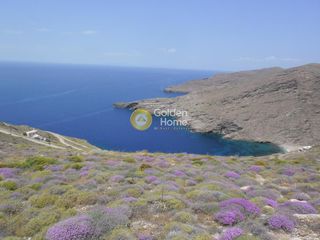 Οικόπεδο 4.336 τ.μ. για πώληση
