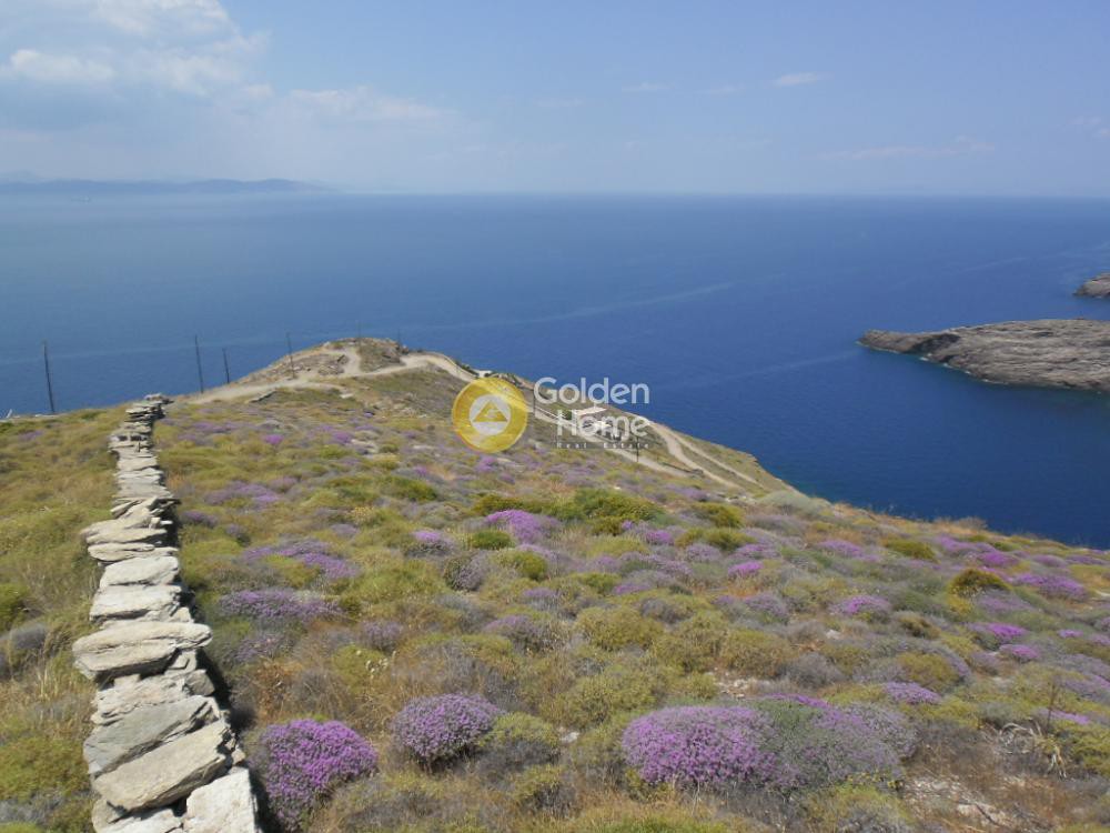 Οικόπεδο 4.336 τ.μ. προς πώληση, Πήσσες