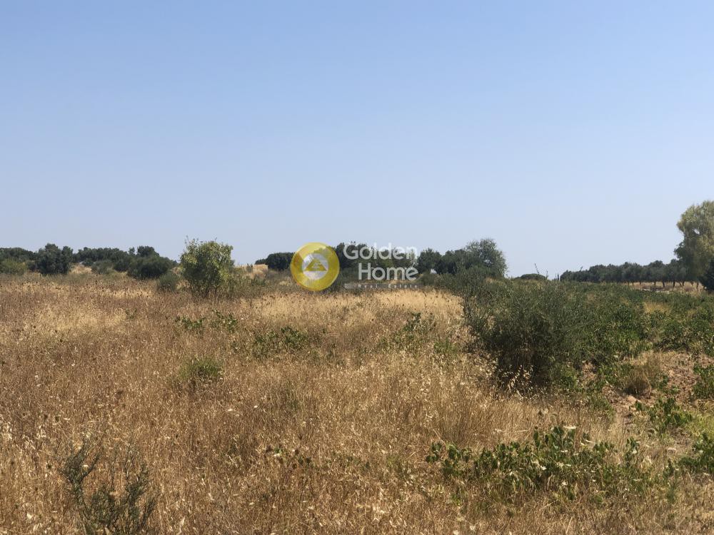 Αγροτεμάχια 822 τ.μ. προς πώληση, Χριστούπολη