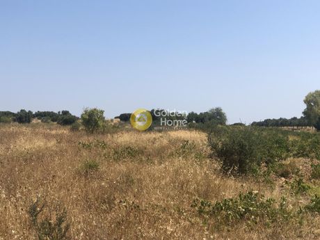 Αγροτεμάχια 822τ.μ. για πώληση-Σπάτα » Χριστούπολη