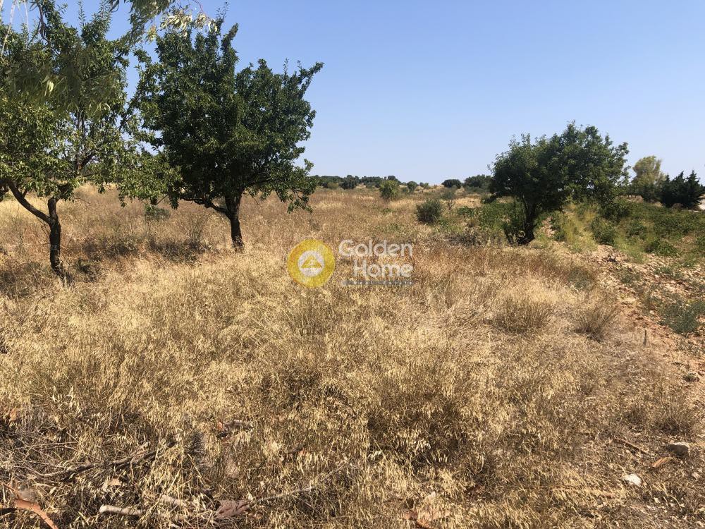 Αγροτεμάχια 822 τ.μ. προς πώληση, Χριστούπολη