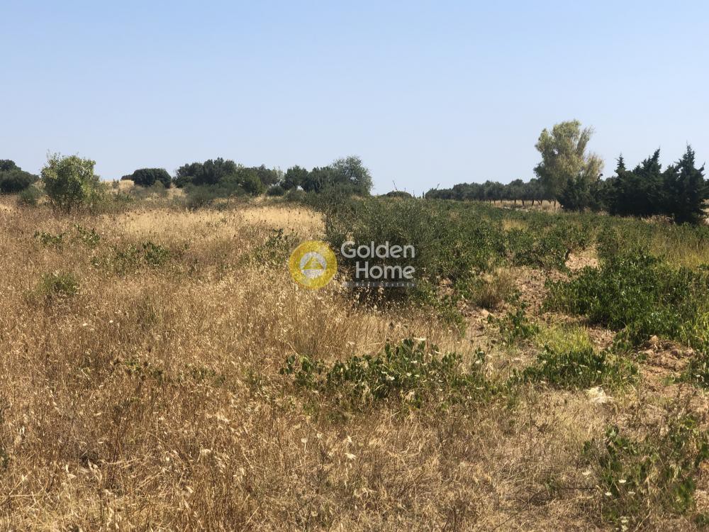 Αγροτεμάχια 822 τ.μ. προς πώληση, Χριστούπολη