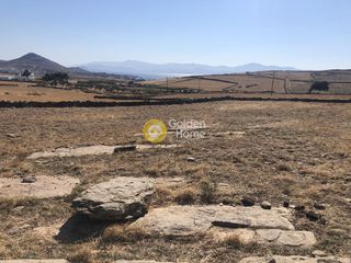 Αγροτεμάχια 8.030 τ.μ. για πώληση