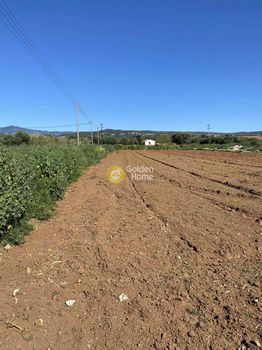 Land plot 13.000sqm for sale-Filiatra » Agia Kiriaki