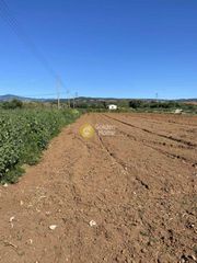 Οικόπεδο 13.000 τ.μ. για πώληση