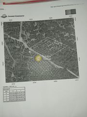 Αγροτεμάχια 2.500 τ.μ. για πώληση