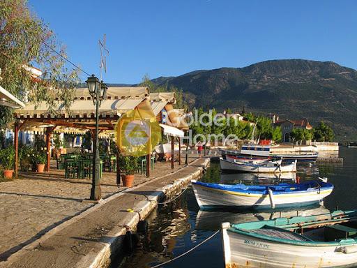 Οικόπεδο 4.005 τ.μ. προς πώληση, Τριζόνια
