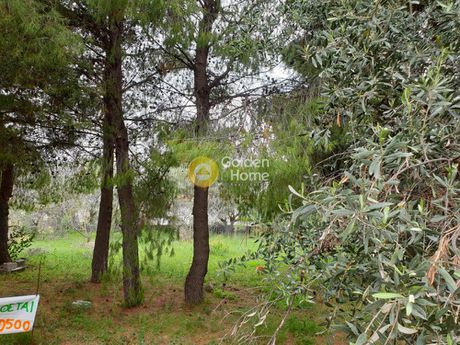 Land plot 506sqm for sale-Agia Paraskevi » Pefkakia
