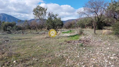 Parcel 8.000sqm for sale-Koropi » Center
