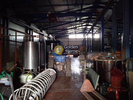 Industrial space 3.250sqm for sale-Schimatari » Center