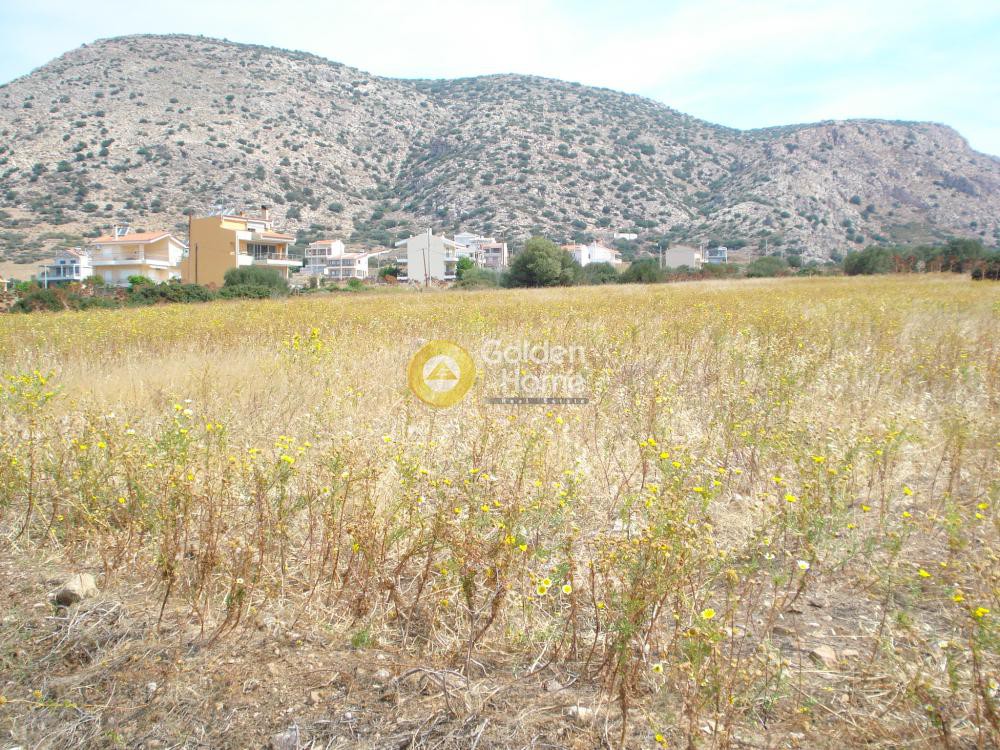 Οικόπεδο 5.118 τ.μ. προς πώληση, Χάρακας Κερατέας