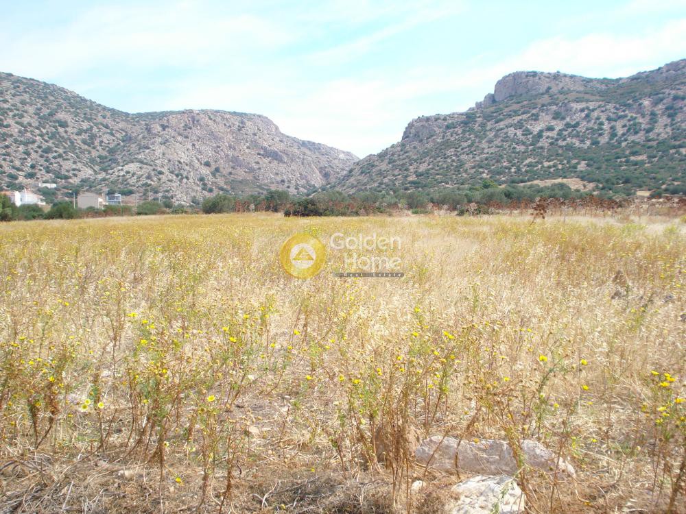 Οικόπεδο 5.118 τ.μ. προς πώληση, Χάρακας Κερατέας