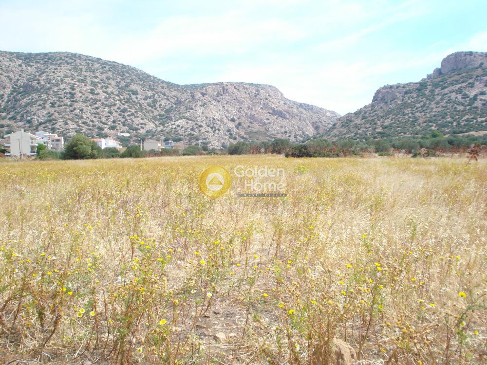 Οικόπεδο 5.118 τ.μ. προς πώληση, Χάρακας Κερατέας