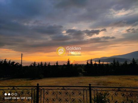 Detached home 334sqm for sale-Saronikos » Galataki