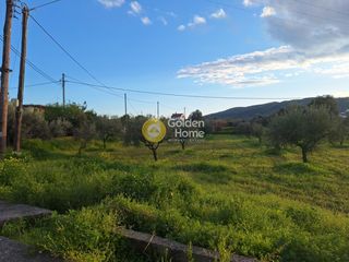 Αγροτεμάχια 4.004 τ.μ. προς πώληση, Εύβοια, Χαλκίδα-thumb-14