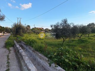 Αγροτεμάχια 4.004 τ.μ. προς πώληση, Εύβοια, Χαλκίδα-thumb-2