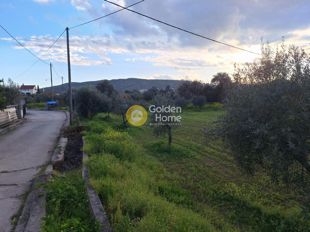 Αγροτεμάχια 4.004 τ.μ. προς πώληση, Κέντρο Χαλκίδας