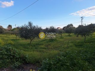 Αγροτεμάχια 4.004 τ.μ. προς πώληση, Εύβοια, Χαλκίδα-thumb-6