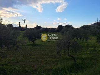 Αγροτεμάχια 4.004 τ.μ. προς πώληση, Εύβοια, Χαλκίδα-thumb-10
