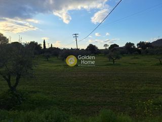 Αγροτεμάχια 4.004 τ.μ. προς πώληση, Εύβοια, Χαλκίδα-thumb-15