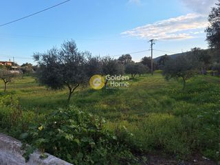 Αγροτεμάχια 4.004 τ.μ. προς πώληση, Εύβοια, Χαλκίδα-thumb-7