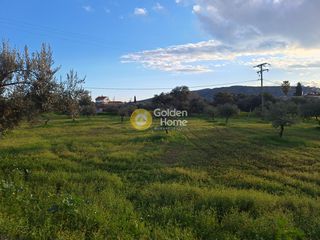 Αγροτεμάχια 4.004 τ.μ. προς πώληση, Εύβοια, Χαλκίδα-thumb-16