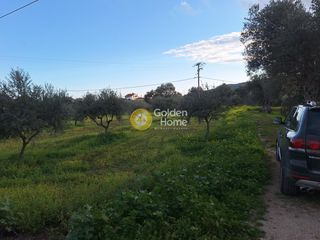 Αγροτεμάχια 4.004 τ.μ. προς πώληση, Εύβοια, Χαλκίδα-thumb-9