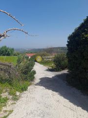 Οικόπεδο 6.500 τ.μ. για πώληση, Ν. Ηρακλείου, Γοργολαϊνη-thumb-4
