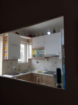 Διαμέρισμα 48τ.μ. για πώληση-Βάρη- βάρκιζα » Ασύρματος αλίανθου