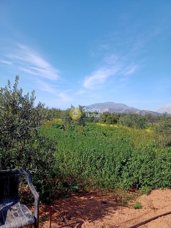Αγροτεμάχια 972 τ.μ. προς πώληση, Καμηλάρι