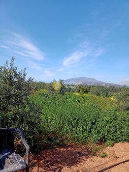 Αγροτεμάχια 972τ.μ. για πώληση-Τυμπάκι » Καμηλάρι